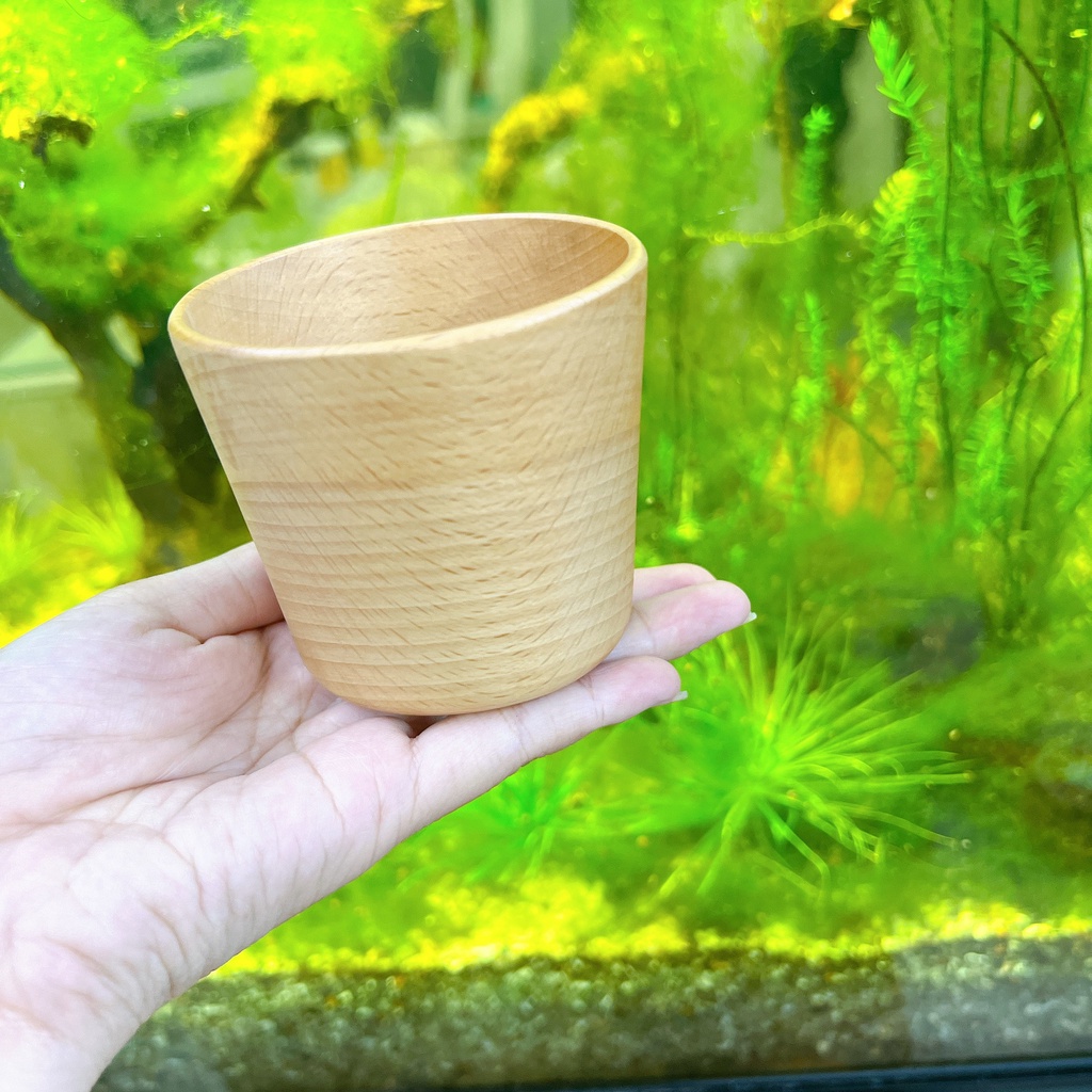 Ly gỗ - Cốc gỗ uống nước tiện lợi đẹp mắt