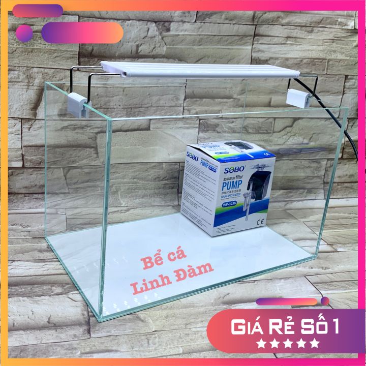 Bể cá mini kính siêu trong dài 35cm - Bể cá đẹp để bàn