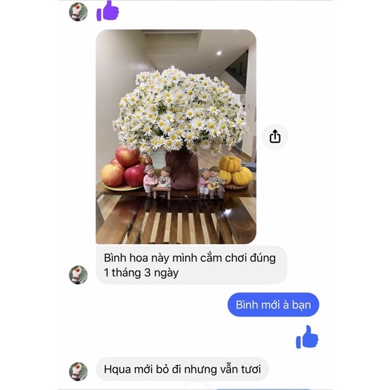 Nước cắm hoa Humik - Hộp 20 gói