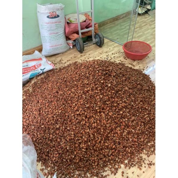 Táo Mèo Khô Tây Bắc  khô thơm chuẩn Táo Mèo Rừng