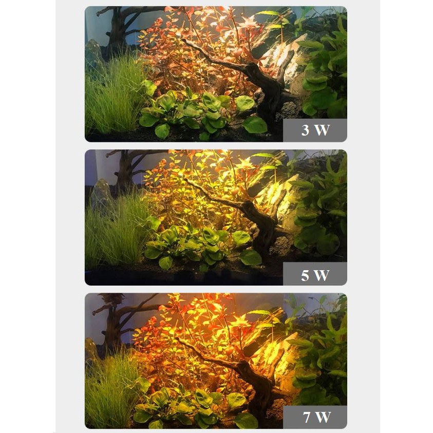 Đèn led rọi nắng 3 màu thủy sinh 3/5/7 W