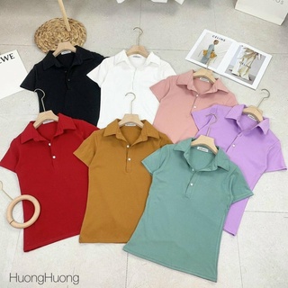 Áo pull cổ bẻ nhiều màu sắc dáng ôm