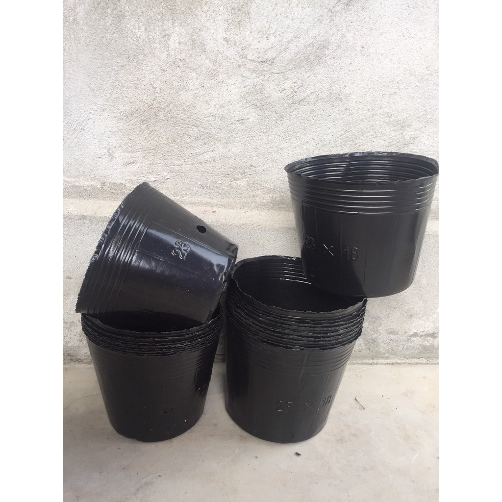 BẦU ƯƠM CÂY 23*18 DÀY VÀ MỎNG ( DỊCH TRUYỀN CHO CÂY, KÍCH RỄ , MẦM CÂY XANH LÁ, LƯỚI CHE NẮNG...)