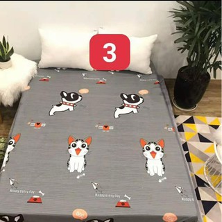 [RẺ VÔ ĐỊCH] GA CHỐNG THẤM COTTON HÌNH NGỘ NGHĨNH