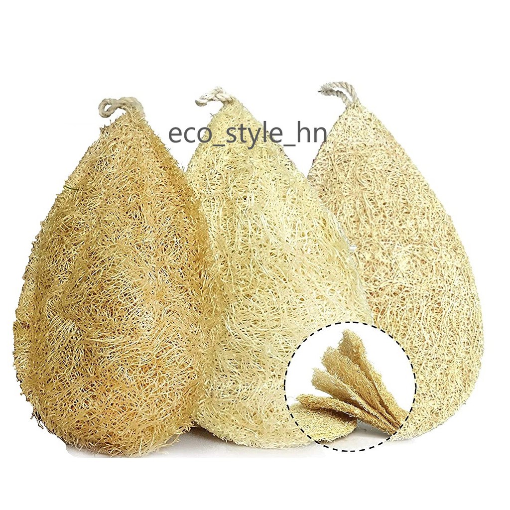 (3 miếng) Xơ mướp rửa chén bát đĩa hình giọt nước giá rẻ tại Hà Nội