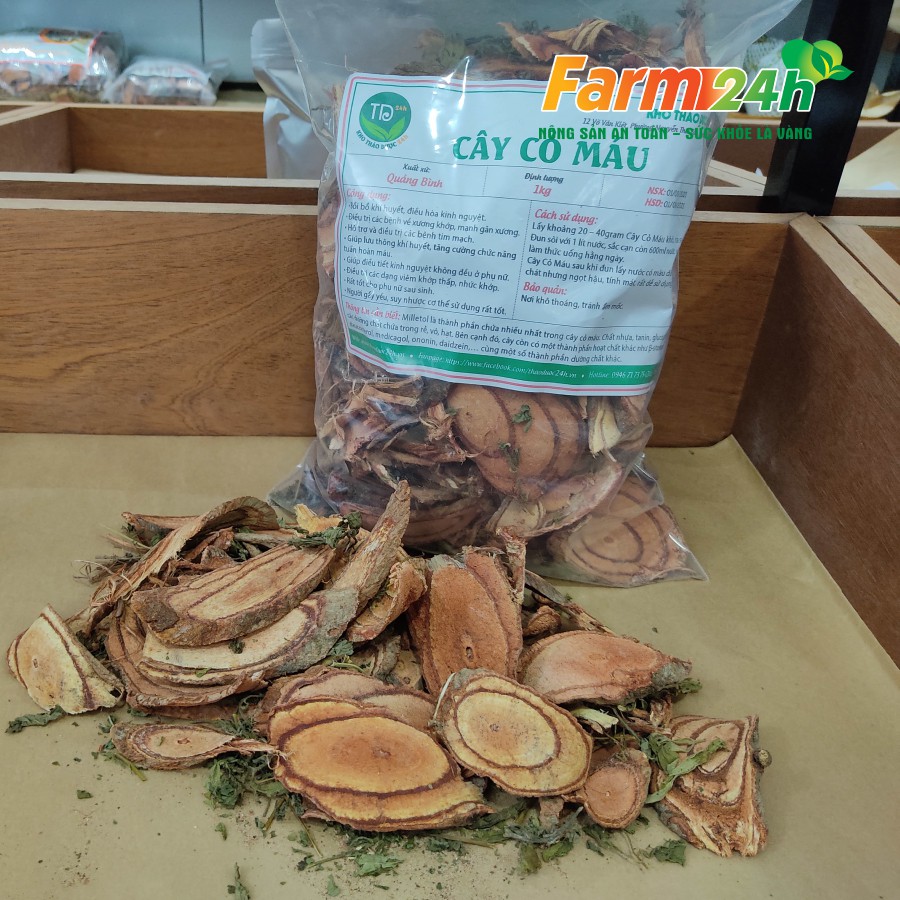 Cây cỏ máu Quảng Trị, bổ huyết, giúp tăng cân, ngừa suy nhược cơ thể | Farm24h