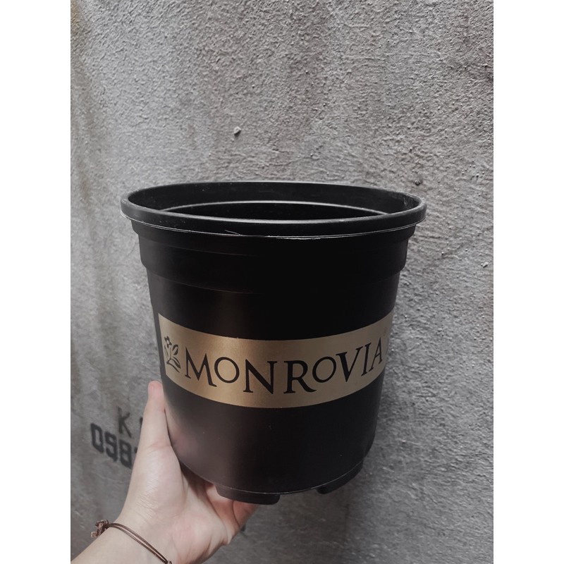 Chậu nhựa trồng hoa Monrovia/Sprouting đủ size _ Chậu Mon hàng dày
