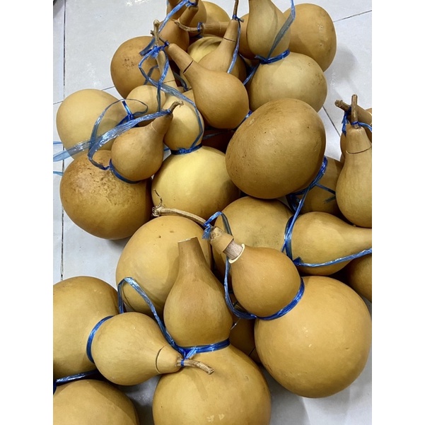 Bầu Hồ Lô.Bầu mini. Bầu hồ lô phong thuỷ , cầu con , thu hút tài lộc ,làm sạch hạt .