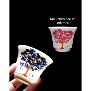 Chén sứ Cảnh Đức - Chén uống trà