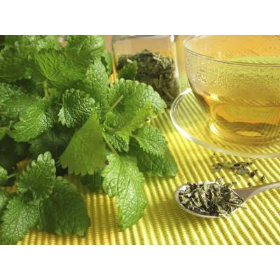 Hạt Giống Bạc Hà Chanh/Lemon Balm  - Thơm hương chanh và xả, Giảm stress - MUA 3 TẶNG 1 CÙNG LOẠI