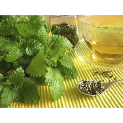 Hạt Giống Bạc Hà Chanh/Lemon Balm (120 Hạt) - [MUA 3 TẶNG 1 CÙNG LOẠI]  - Thơm Hương Chanh Và Xả, Giảm Stress