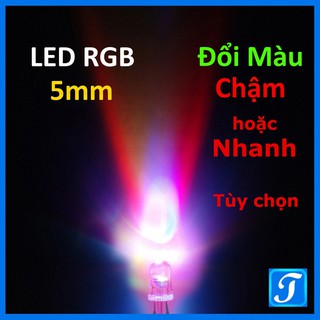 Bóng chấm 7 màu