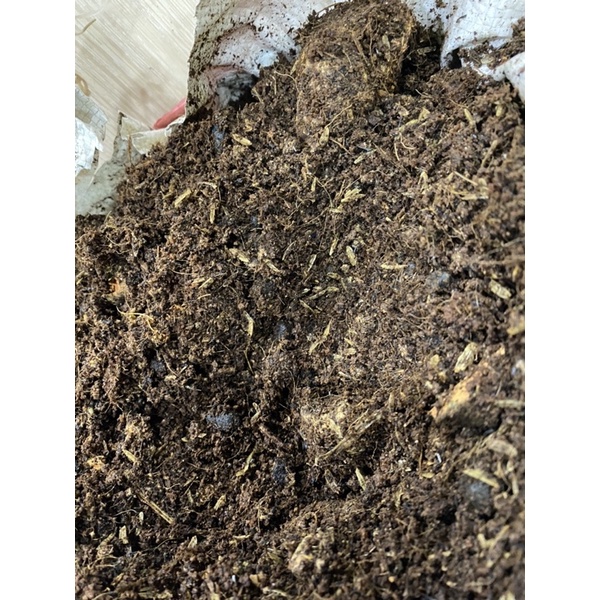 1KG Giá Thể Trồng Hương Thảo, Bạc Hà, Dâu Tây và Gia Vị Tây - ĐẤT TRỘN TỐT CHO CÂY TRỒNG