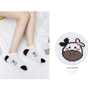 Tất bò sữa-Vớ bò sữa