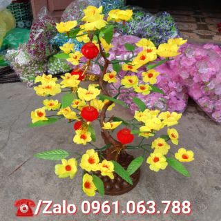CÂY MAI GIẢ