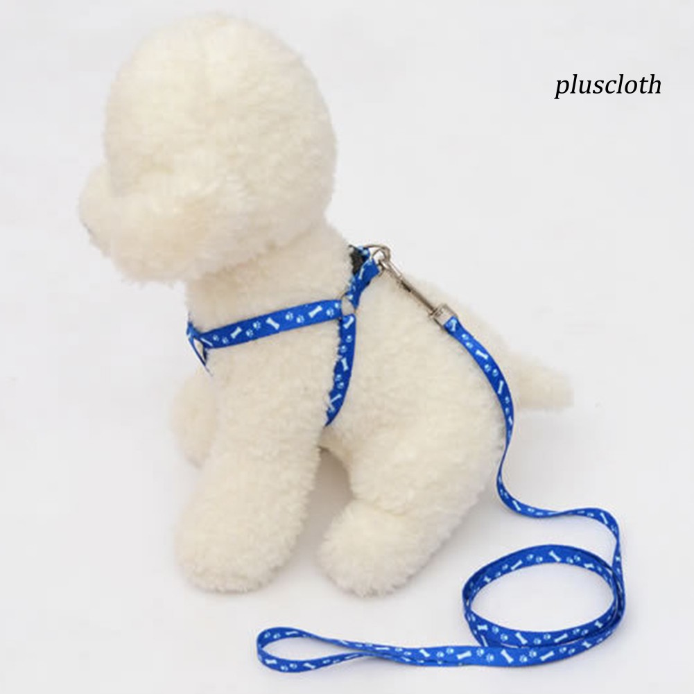 Dây Dắt Thú Cưng Đi Dạo Nhiều Màu 120cm