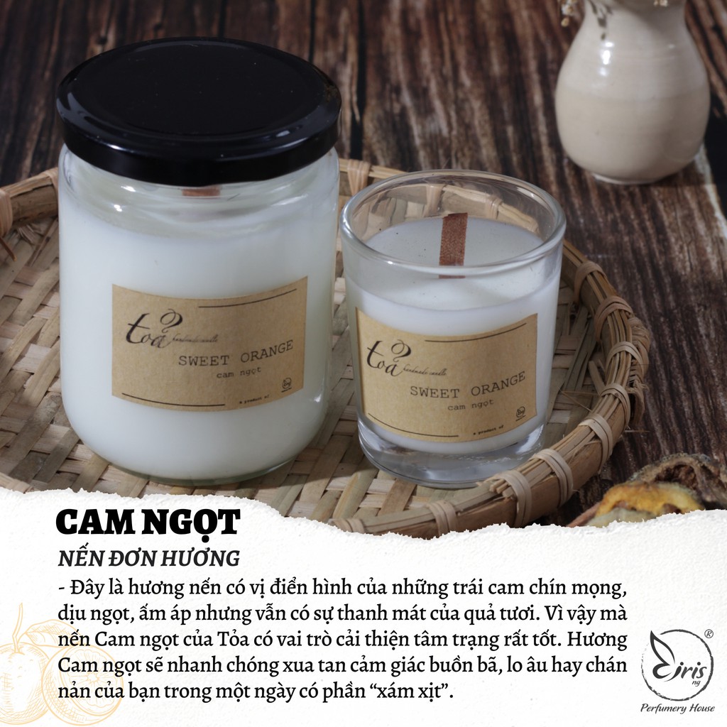 Nến đơn hương Cam ngọt | Tỏa Handmade Candle