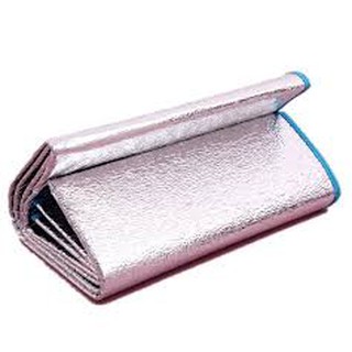 Chiếu ngủ văn phòng loại lớn ( dày 2mm)