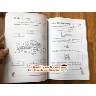 Đồ chơi - 300 practice KINDERGARTEN ENGLISH, MATHS & SCIENCE Bộ 3 Q