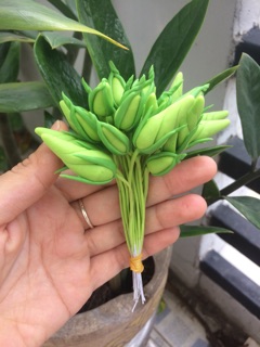 Nụ hoa cát tường-18.000₫
