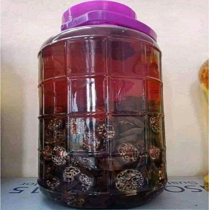 Chuối rừng tây bắc