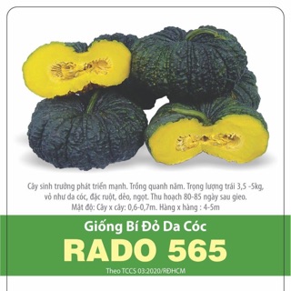 Hạt Giống Bí Đỏ Da Cóc  (5 hạt)