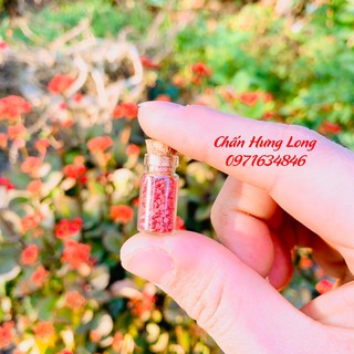 Lọ Thần Sa 100% thiên nhiên - đông y chấn hưng long