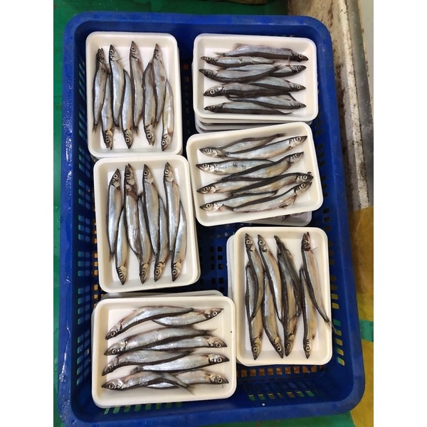 Cá trứng vỉ 8 con