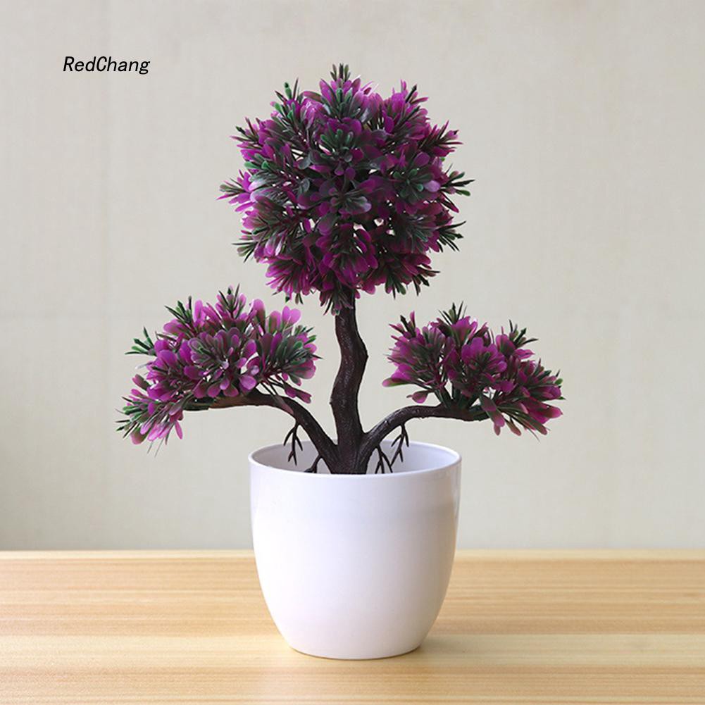 Chậu Cây Bonsai Giả Trang Trí Bàn Làm Việc