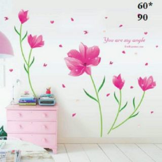 Decal dán tường hàn quốc