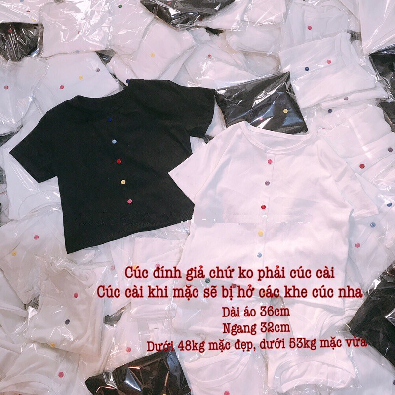 Áo Croptop Ulzzang trơn body dính cúc màu