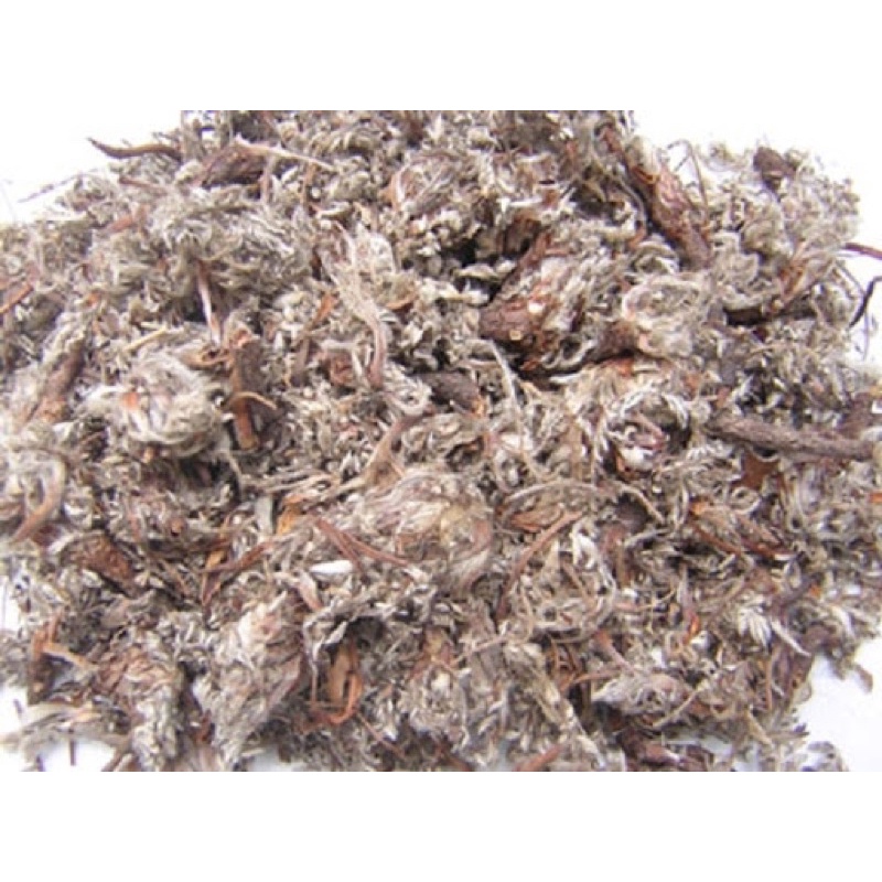 Bắc tử thảo nguyên liệu nấu nước sâm 100g