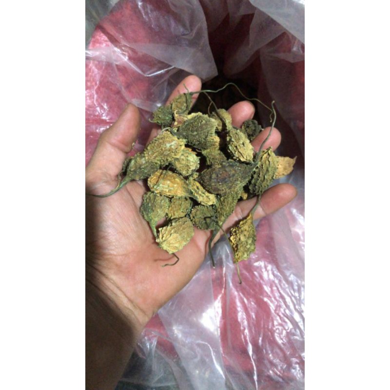 [Gói dùng thử] 200 gram  khổ qua rừng (mướp đắng rừng) khô hút chân không
