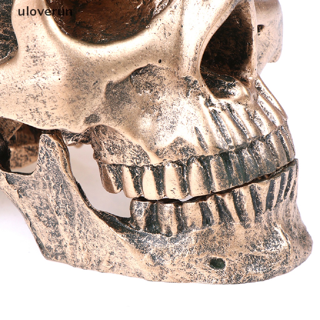 Mô Hình Đầu Lâu Người Bằng Nhựa Resin Đồng Tỉ Lệ 1: 1 Trang Trí Halloween