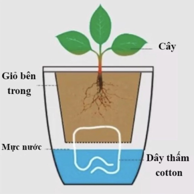 Chậu trồng cây 2 lớp tự tưới FL-W359