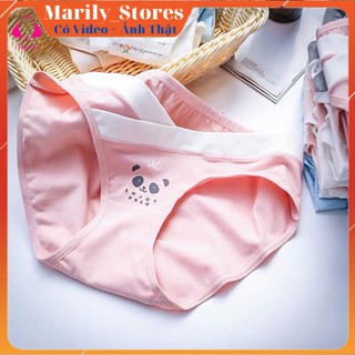 Quần Lót Bầu Cotton Cao Cấp Gấu Trúc Mặc Bầu Và Sau Sinh, Set 4 Chiếc