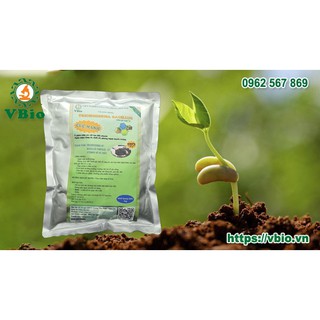 Men ủ sinh học Tricoderma -Chế phẩm sinh học Trichoderma - Phân ủ vi sinh