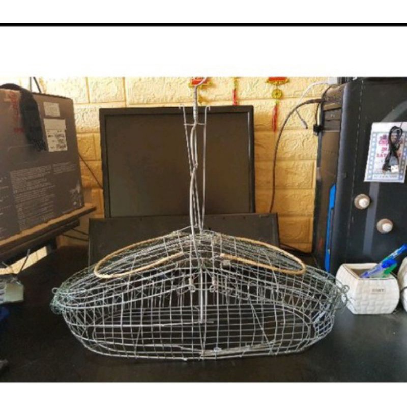 Lồng bẫy chim chào mào