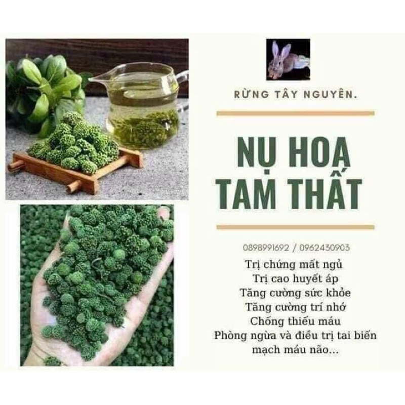 ⚡️500g⚡️ NỤ TAM THẤT bao tử loại hoa nhỏ đều ít cuống hỗ trợ điều trị mất ngủ và tốt cho tim mạch