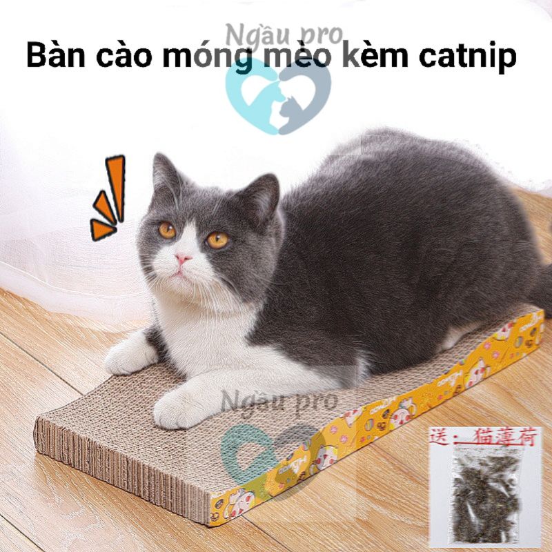 Bàn cào móng cho mèo lượn sóng bằng carton , Đồ chơi cho mèo con chăm sóc móng ngaupet