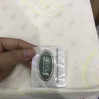 Gối cao su non Thái hãng Ventry