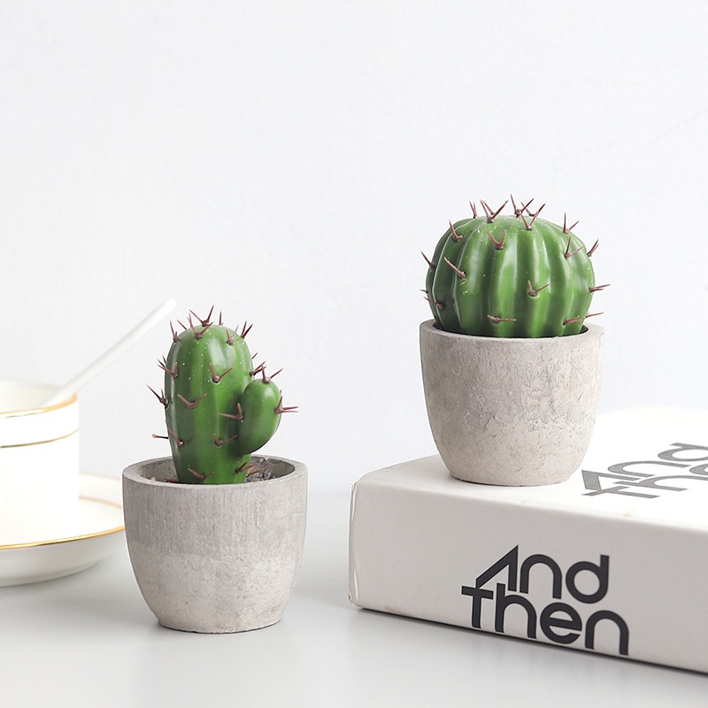 Chậu Cây Xương Rồng Giả - Kèm Chậu Giống Thật 99% Decor Để Bàn Học, Phụ Kiện Chụp Ảnh, Trang Trí Nhà Cửa, Sân Vườn