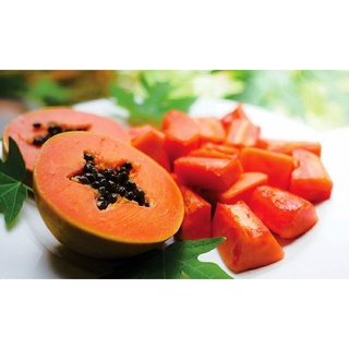 cây đu đủ lùn ruột đỏ siêu trái