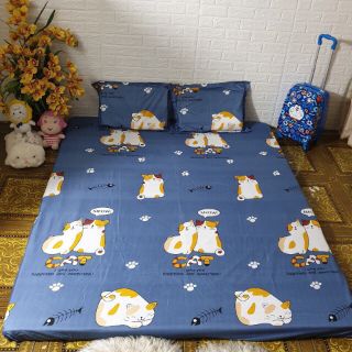 Set hè 5 món