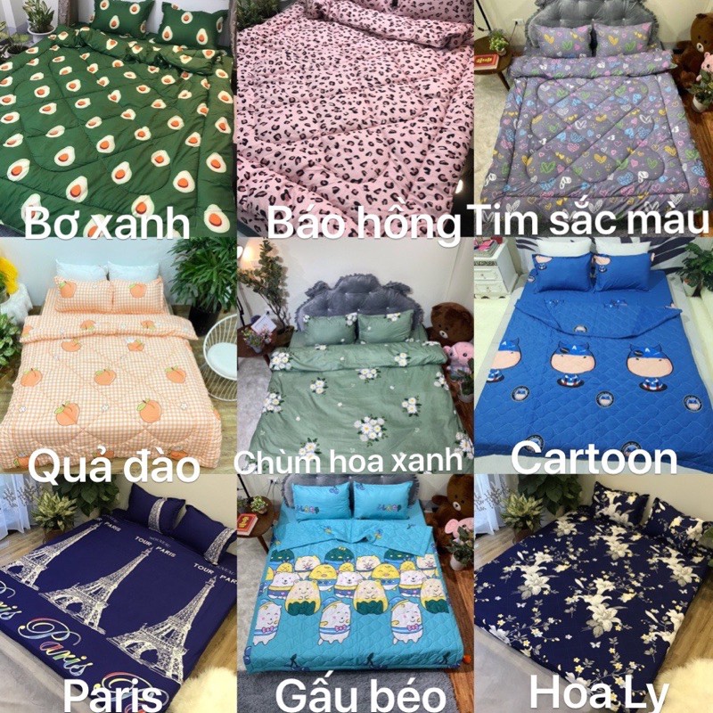 Sale. Cặp vỏ gối nằm cotton poly 10k