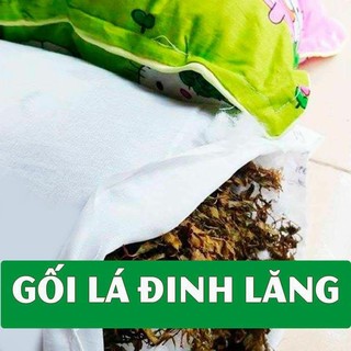 GỐI LÁ ĐINH LĂNG