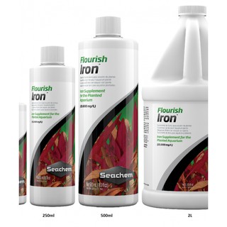 Phân nước Seachem Flourish - Iron 250ml
