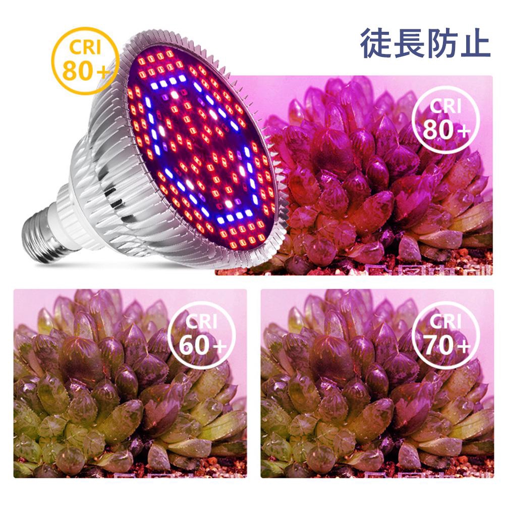 80W Full Spectrum LED Grow Light Bóng đèn, Bóng đèn UV IR UV UV SMD cho nhà kính trồng cây trong nhà