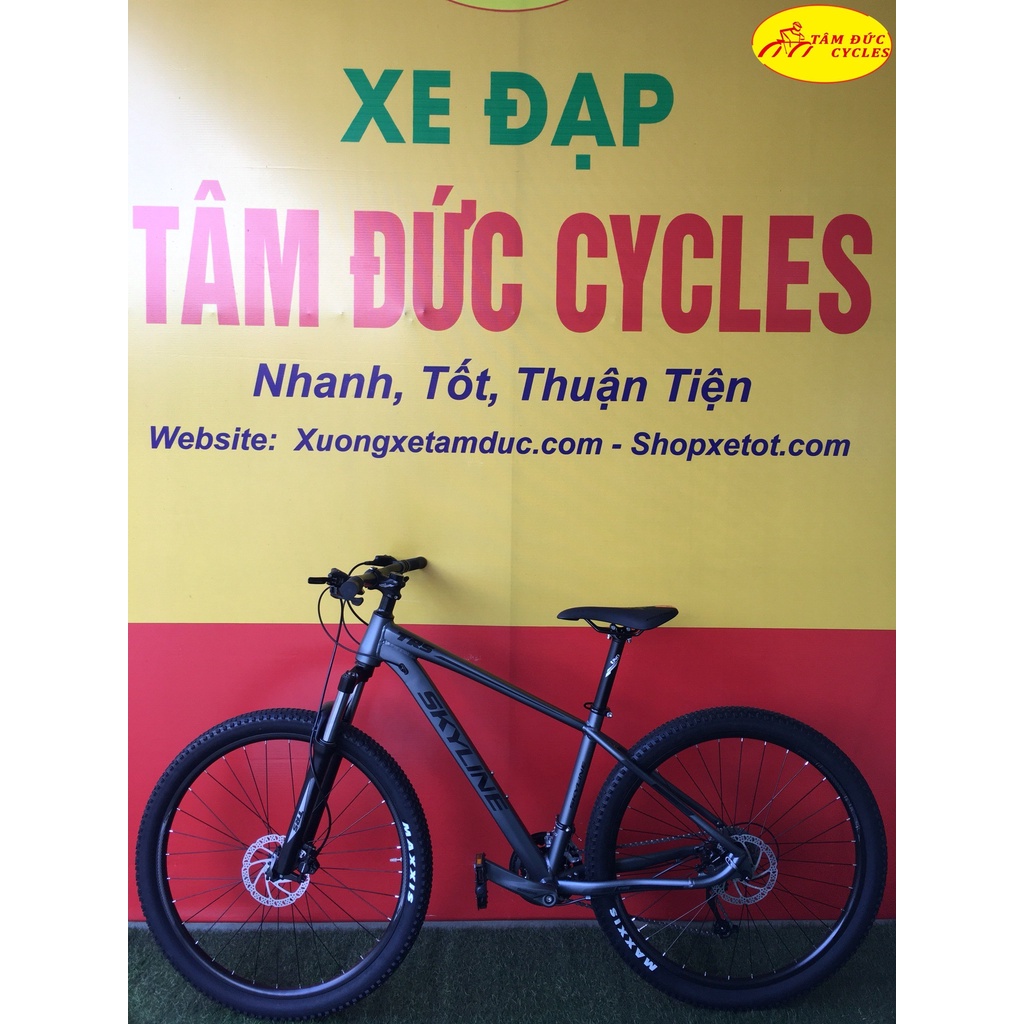 Xe đạp MTB TRS SKYLINE