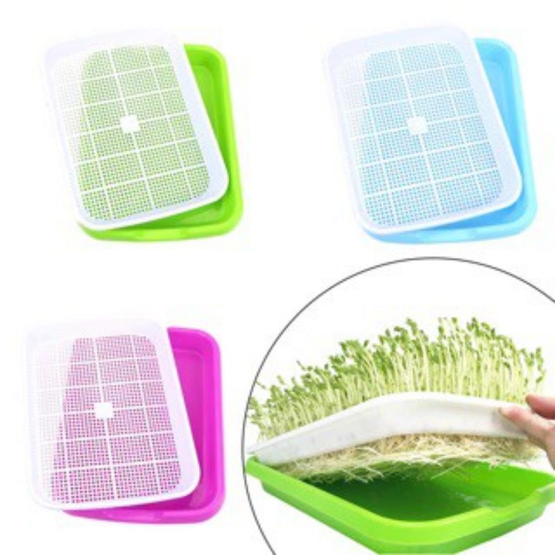 Khay Dụng Cụ Làm Giá Đỗ 34x25x5cm